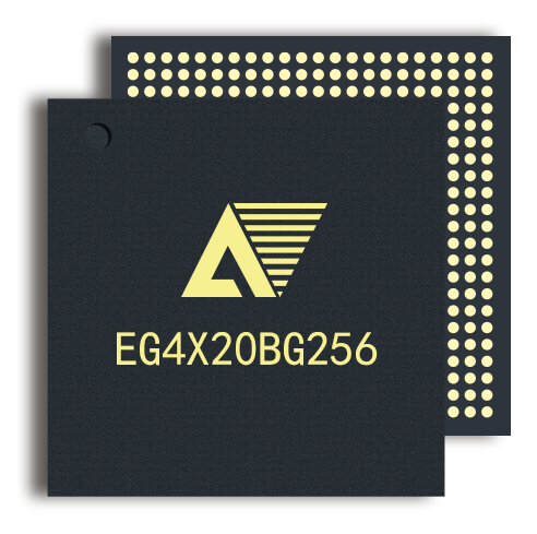 EG4X20BG256.png