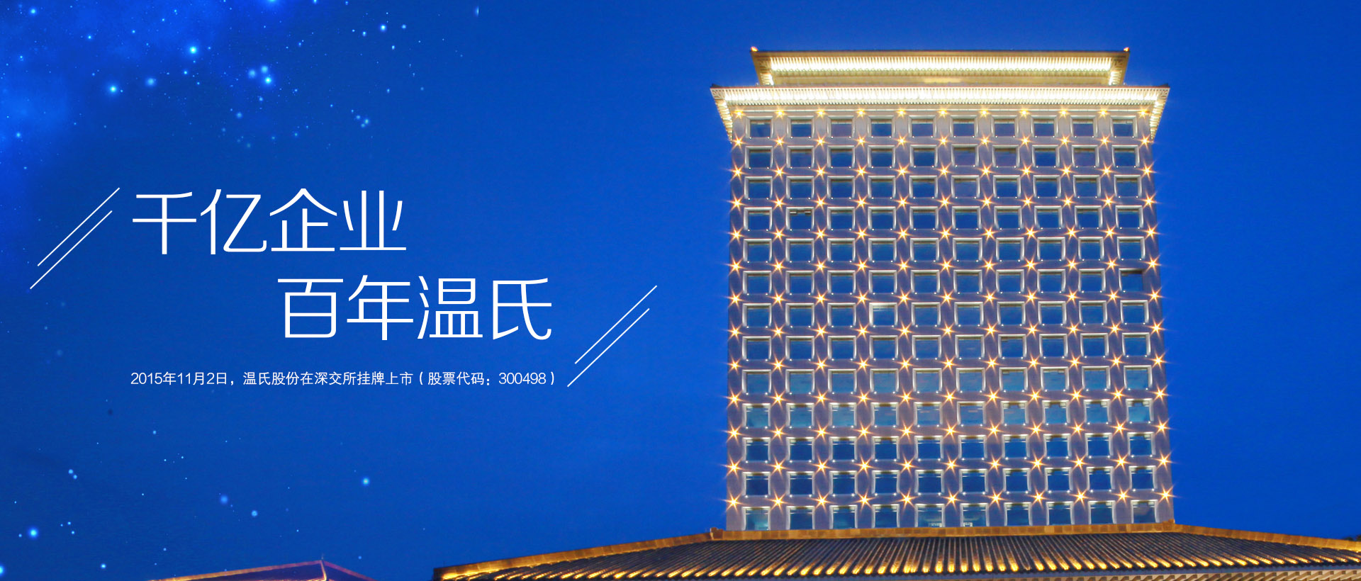 3118云顶集团股份